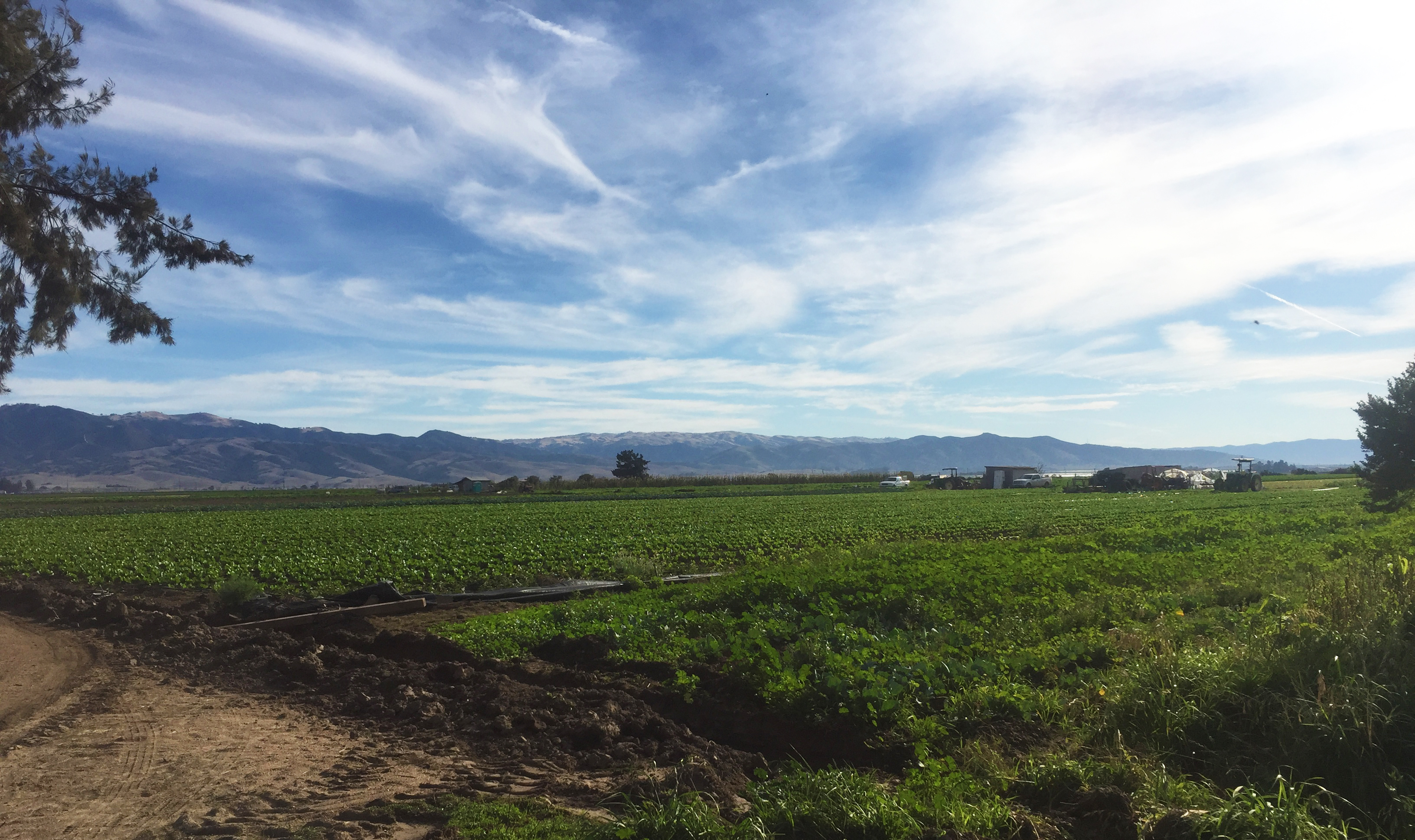 NFU Beginning Farmers Travel to California for On-Farm Learning Sessions