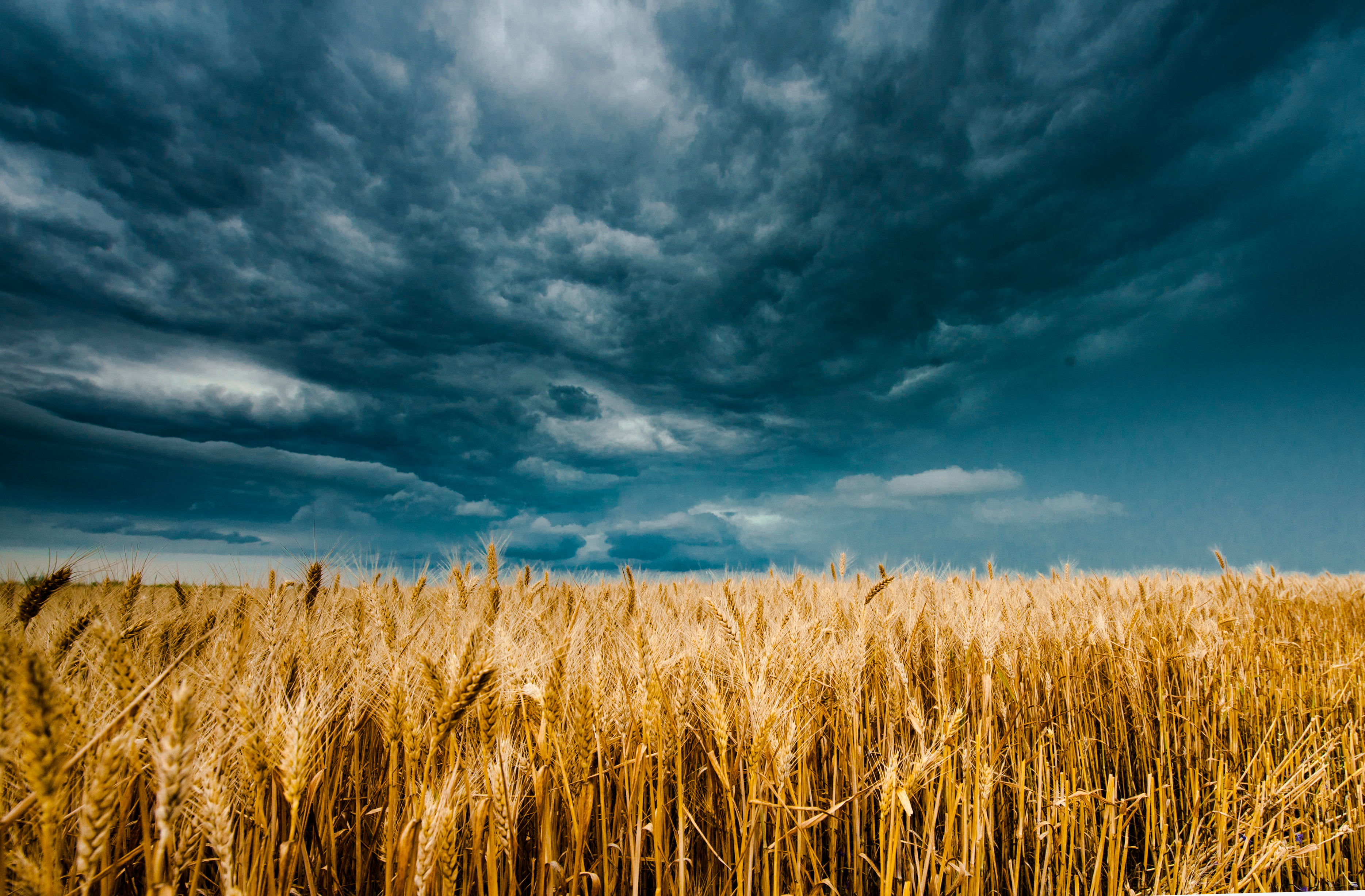 Farmers Union Encouraged by First Step to Address Climate Crisis Farmers Union Encouraged by First Step to Address Climate Crisis