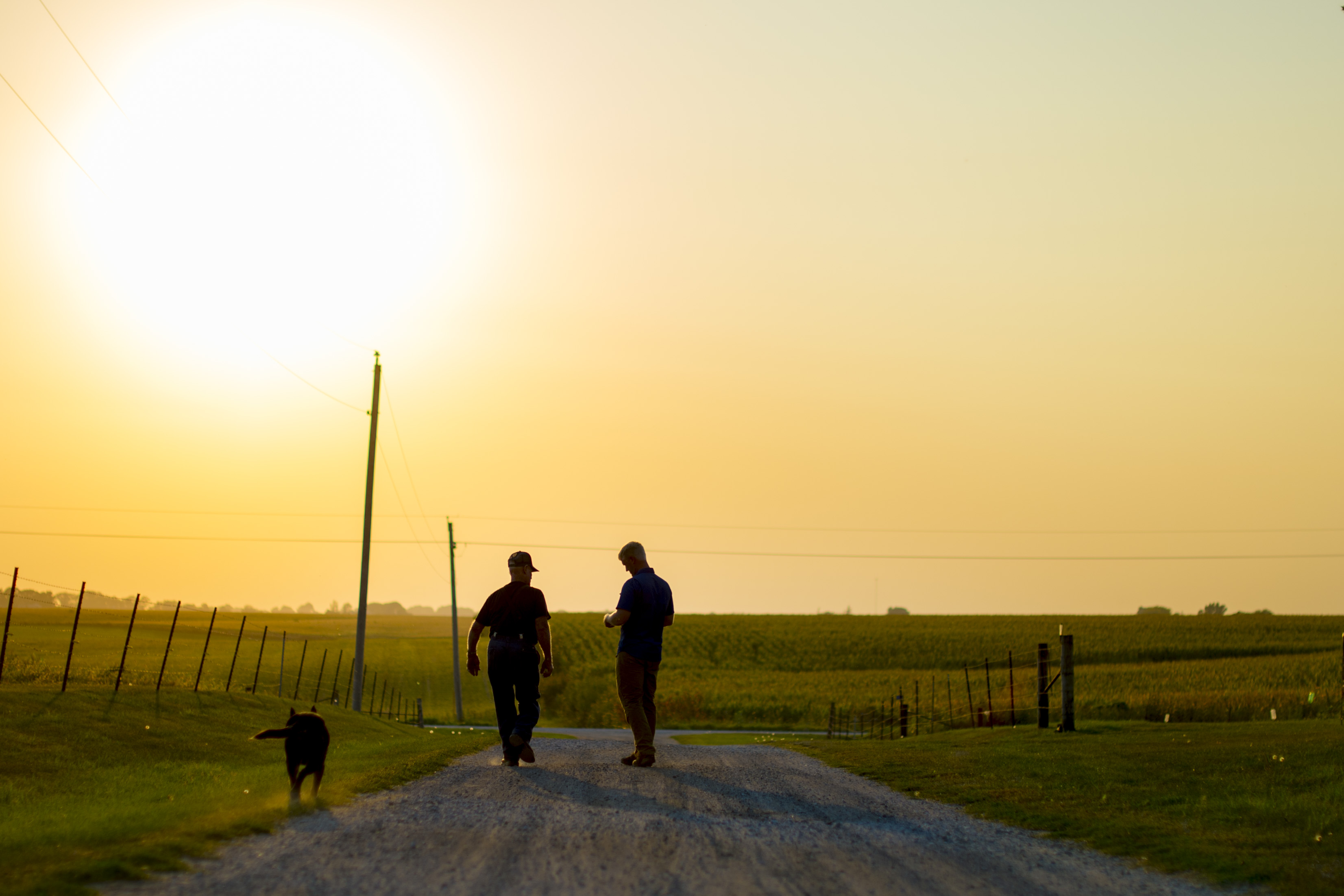 Saving the Farm: The Need for Farm Advocates Saving the Farm: The Need for Farm Advocates