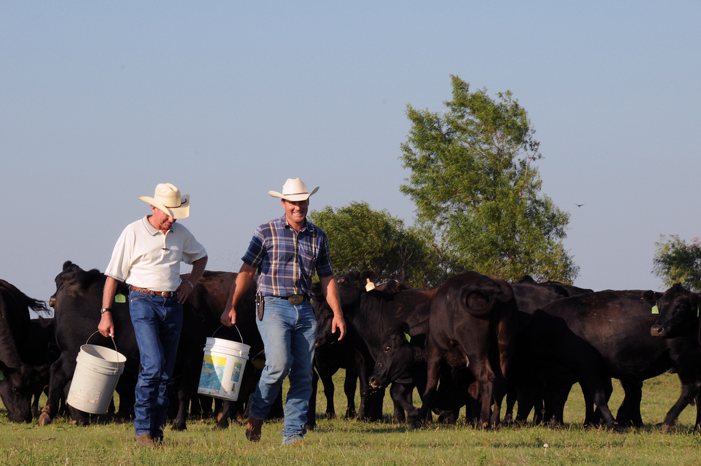 Family Beef Producers Deserve Better From NAFTA