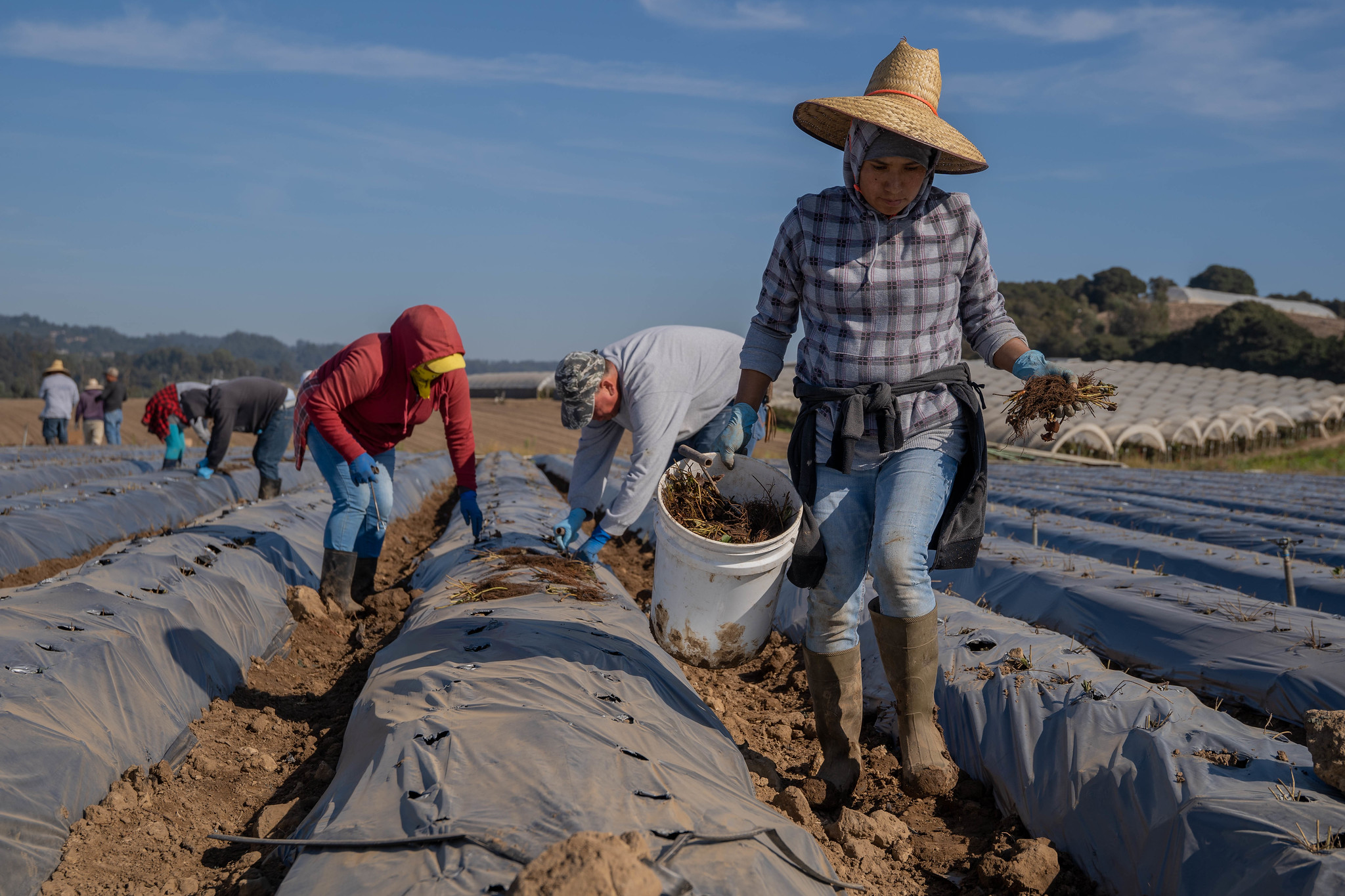 NFU Applauds Passage of Farm Workforce Modernization Act NFU Applauds Passage of Farm Workforce Modernization Act