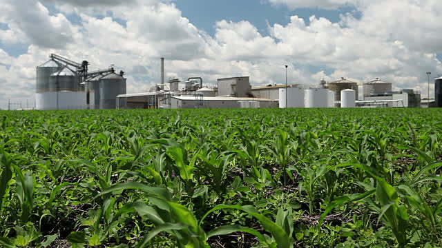 Absence of RVOs Another Disappointment for Farmers, Biofuel Producers