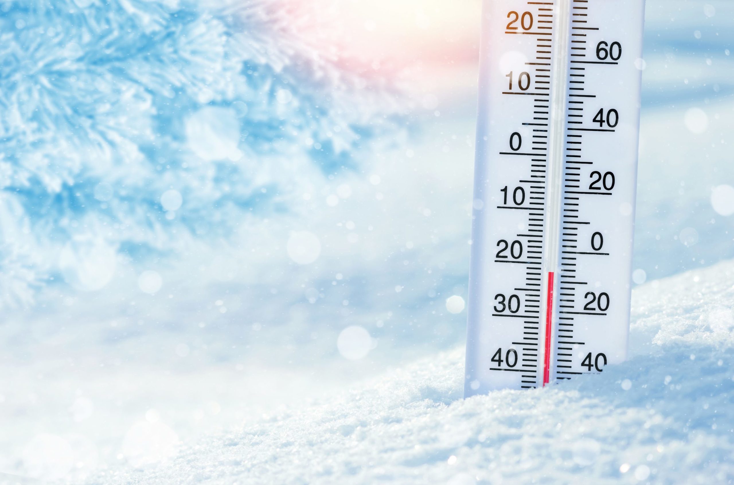Cold Temps, Hot Food Safety Projects